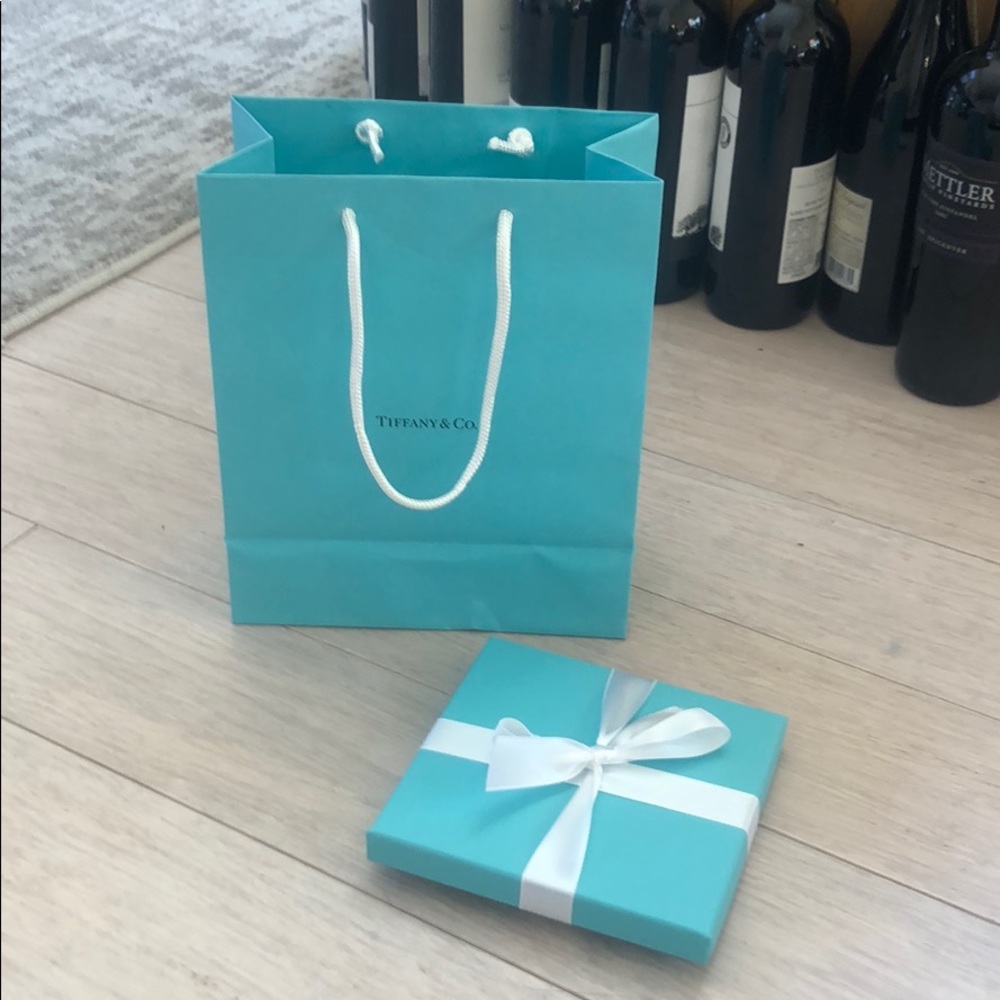 NWT Tiffany & Co Gift Card Bag $200 Bracelet Earri